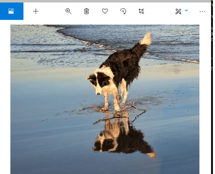 Image Caption Generator using Deep Learning